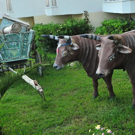 Asrin 4* Алания