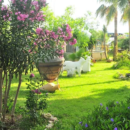 Asrin Hotel Alanya